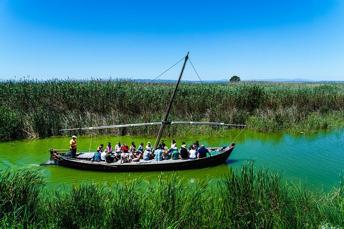 Albufera Private Day Tour: Paella, Boat Cruise and Nature Walk - Stop 4: Torre mirador del Tancat de Mília—birdwatching with real payback