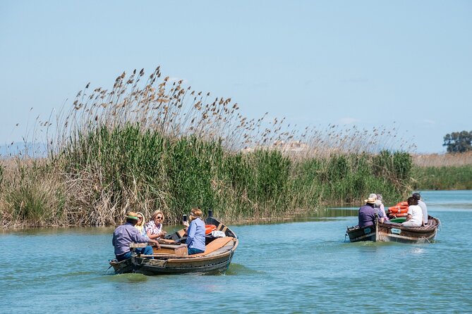 Albufera Private Day Tour: Paella, Boat Cruise and Nature Walk - Stop 6: Back to Valencia—wrap with a scenic drive