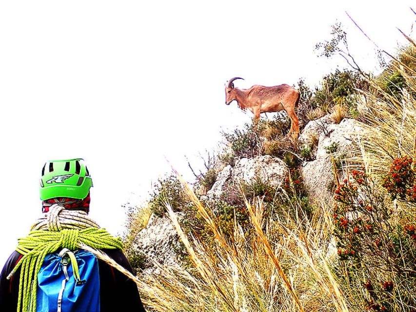 Alicante: Via Ferrata del Ponoig Guided Trek and Climb - The Views Over Guadalest and the Mediterranean You Actually Earn