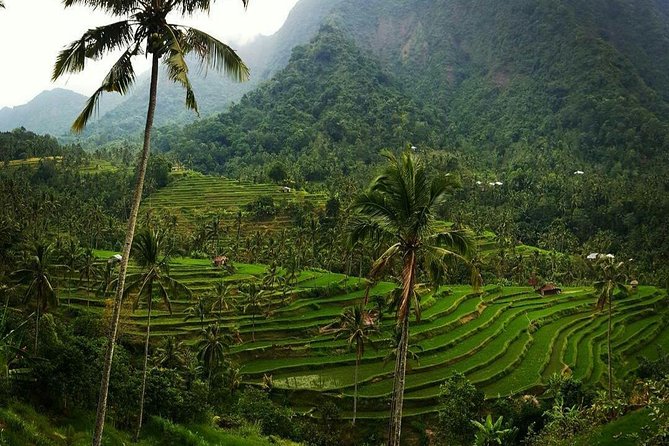 All inclusive Bali Sekumpul Waterfalls Trekking Tour - Optional temples and Bali landmarks: when to add them, and when to skip