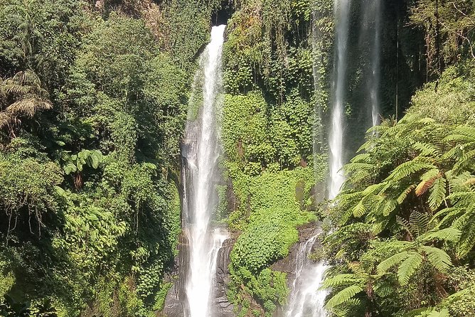 All Inclusive Sekumpul Waterfall Trekking , Handara Gate & Temple - What to Pack and How to Prepare for Jungle Conditions