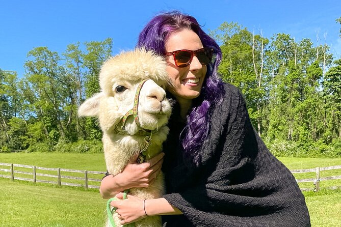 Alpaca and Llama Trek in Pleasant Valley - Pleasant Valley Alpaca Trek: What It Really Is