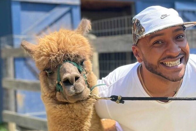 Alpaca and Llama Trek in Pleasant Valley - Staff Support: The Part That Makes the Experience Feel Safe and Fun