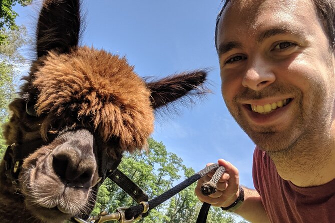 Alpaca and Llama Trek in Pleasant Valley - What to Bring (and What Not to Bring)