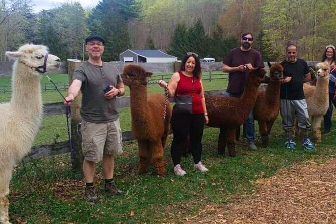 Alpaca and Llama Trek in Pleasant Valley - Where You Start: The Lilymoore Farm Meeting Point