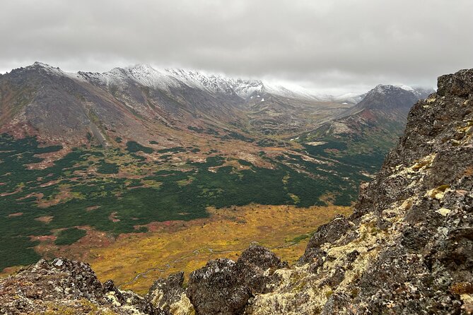 Alpine Classic Trek - Wildlife and Birds: Yes, You Should Actually Look
