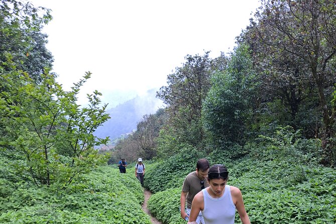 Amazing 1 Day Trekking Experience in Kathmandu Nepal - Lunch and the small inclusions that keep the day comfortable