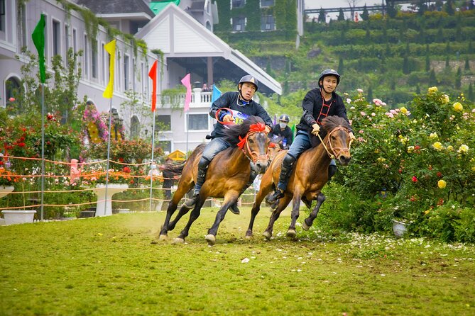 Amazing Sapa Fansipan Cable Car - Trekking: Fun, Majestic fr Sapa - What can go wrong: waits, fog, and package confusion