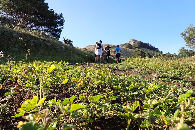 Ana Ferreira Caves & Peaks Trekking - Ana Ferreira Caves & Peaks Trek: a geology hike with payoff views