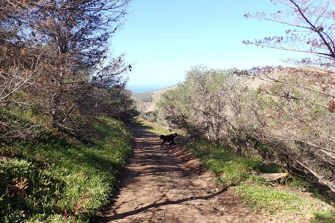 Ana Ferreira Caves & Peaks Trekking - What’s included, what’s not, and how to prep for comfort