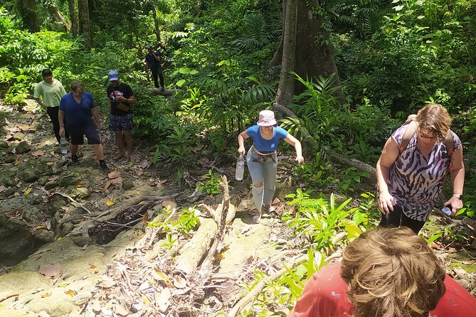 Ancient Lava Stream Trek through dense Tropical forest. - Price and value: what $33.56 really buys you