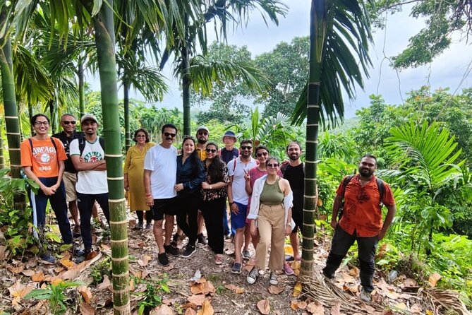 Ancient Lava Stream Trek through dense Tropical forest. - Coastal forest to areca nut plantations: two worlds in one route