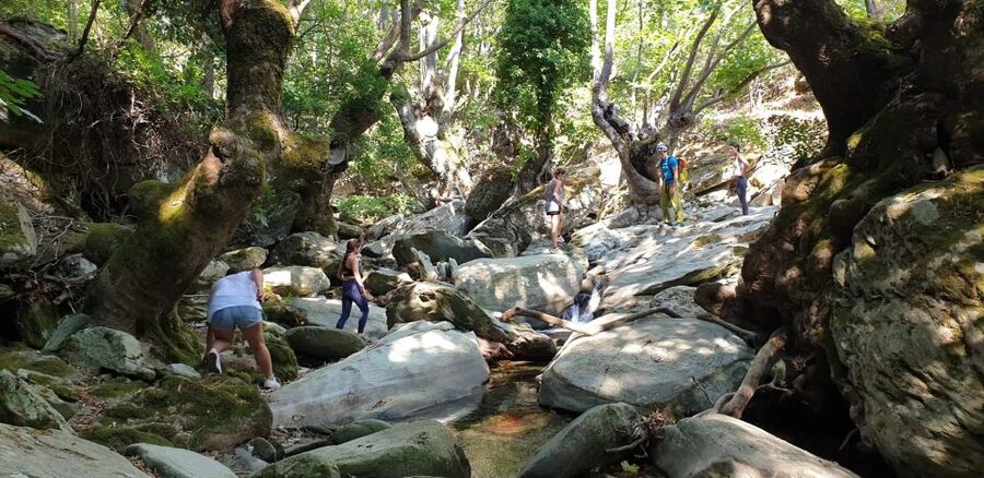 Andros: Achla River Trekking to the Waterfall - Key things that make this trek worth your time