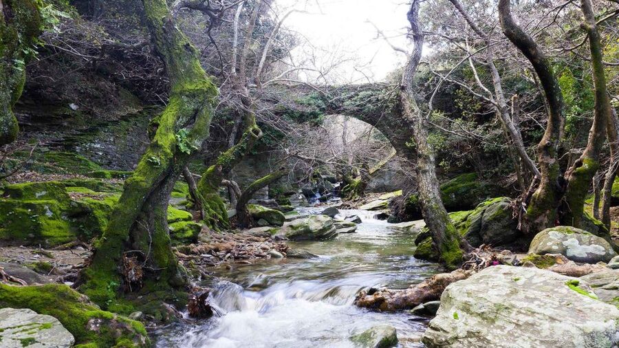 Andros: Achla River Trekking to the Waterfall - The guide experience: Bill’s energy and how it helps the group