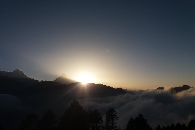 Annapurna: 2 Days Poon Hill Trek from Pokhara - Day 1: stair-climbing through rhododendron forests to Ghorepani