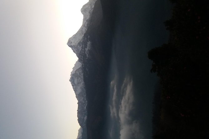 Annapurna: 2 Days Poon Hill Trek from Pokhara - Day 2 at 4am: the climb to Poon Hill and the sunrise payoff