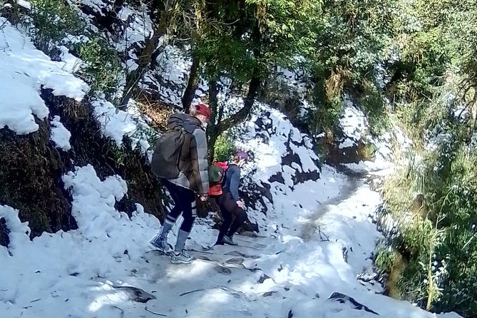 Annapurna: 5 Days Poon Hill Circuit Trek from Pokhara - Key highlights you’ll actually feel
