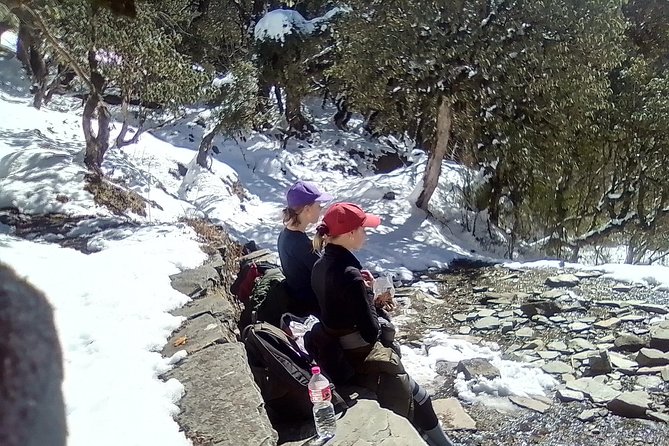 Annapurna: 5 Days Poon Hill Circuit Trek from Pokhara - Price and value: what $257.07 covers (and what you’ll pay extra)