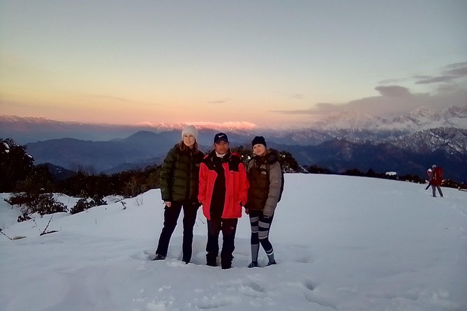 Annapurna: 5 Days Poon Hill Circuit Trek from Pokhara - Ghorepani-area trekking and rhododendron forests: the trail days that add texture