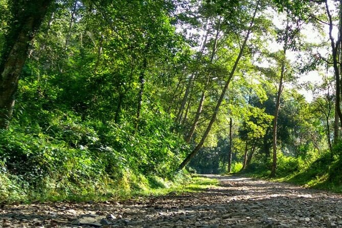 Annapurna Base Camp Trek- 11 Days - Deurali to Annapurna Base Camp via Machhapuchhre Base Camp