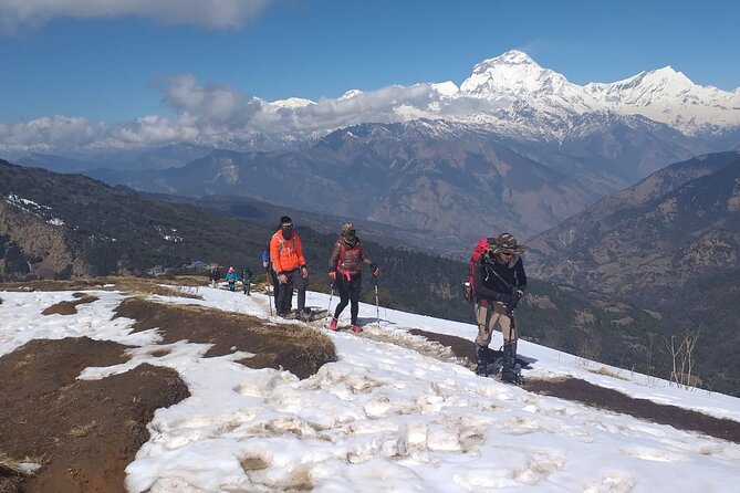 Annapurna Base Camp Trek 12 Days - Kathmandu to Pokhara to Nayapul: the quiet work behind a smooth trek