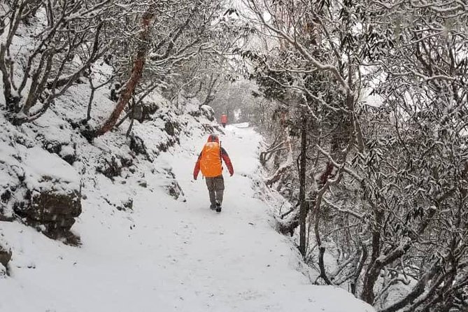 Annapurna base camp trek 5 Days - Day 3 Upper Sinuwa (Sinuwa hilltop lodge): Morning Views as a Real Schedule Anchor