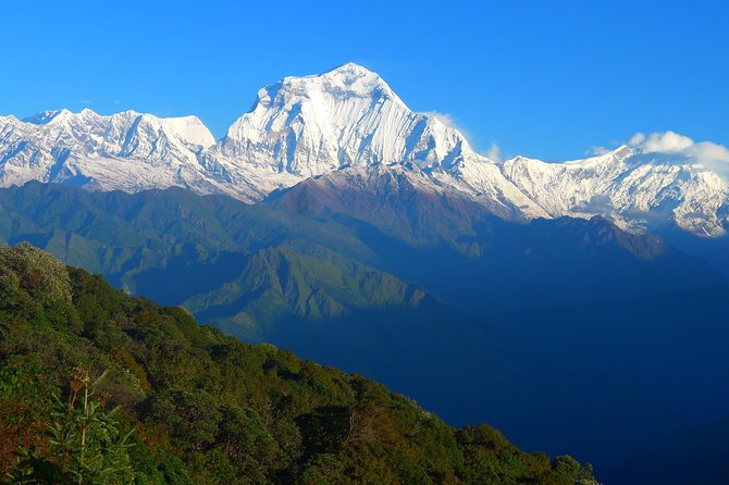 Annapurna Base Camp Trek -8 days - Day 4: Toward Machhapuchhare Base Camp with the Modi River corridor