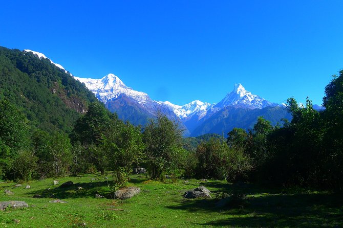 Annapurna Base Camp Trek -8 days - Day 5: Annapurna Base Camp at 4,130 m and the sanctuary plateau