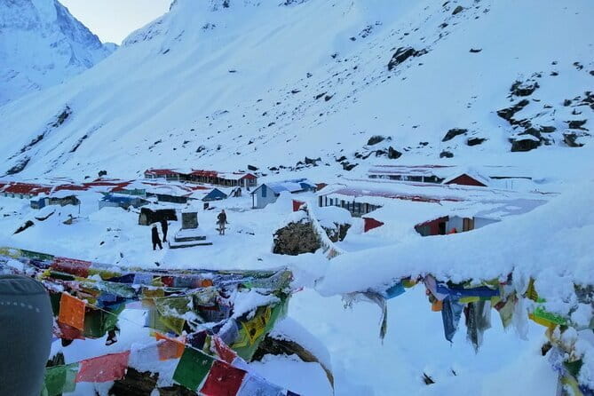 Annapurna Base Camp Trek - The return: Sinuwa to Bamboo and the long, satisfying descent
