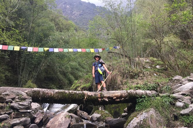 Annapurna Base Camp Trek from Pokhara - Day 5: Deurali to MBC (3730m) and onward to ABC (4130m)