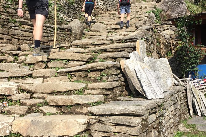 Annapurna Base Camp Trek from Pokhara - Day 6 to Bamboo: the long descent that tests your legs