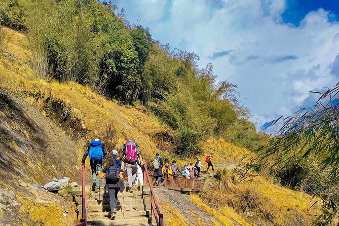 Annapurna Base Camp Trekking 09 Days - Back to Kathmandu and a Thamel Farewell Dinner