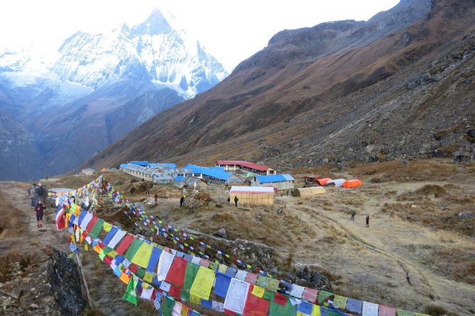Annapurna Base Camp Trekking - 14 Days - Tea houses, meals, and water: how comfort is managed on the mountain