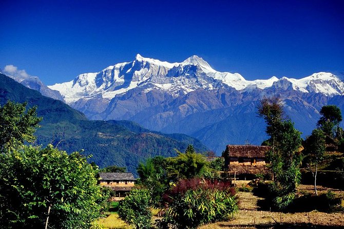 Annapurna Ghorepani Poon Hill trek from Pokhara short and easy hike in Himalaya - Key Highlights You’ll Feel on This Trek
