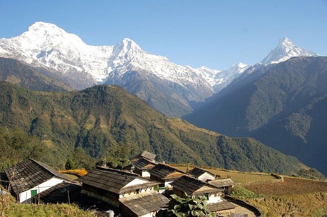 Annapurna Ghorepani Poon Hill trek from Pokhara short and easy hike in Himalaya - Who This Trek Suits Best