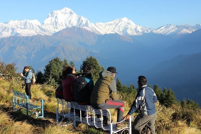 Annapurna Ghorepani Poon Hill trek from Pokhara short and easy hike in Himalaya - Day-by-Day Flow: From Kathmandu Prep to Poon Hill Sunrise