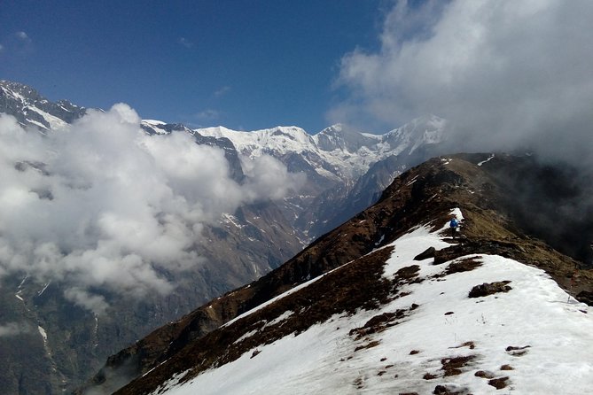 Annapurna: Mardi Himal Base Camp Trek - Day 6: Returning down through forests to Forests Camp