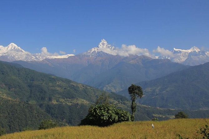 Annapurna Panorama trek - Key things I’d watch before you go