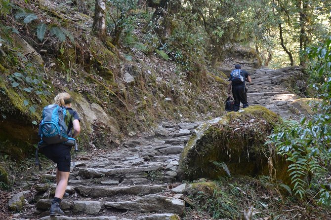 Annapurna Poonhill Trek - Day 6: Tadapani to Ghandruk and the Gurung village feel