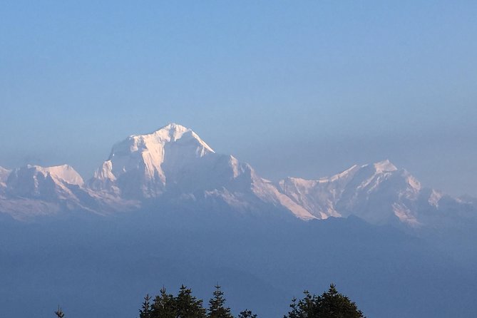 Annapurna Poonhill Trek - Day 7: Back down toward Pokhara via Dhampus and Phedi