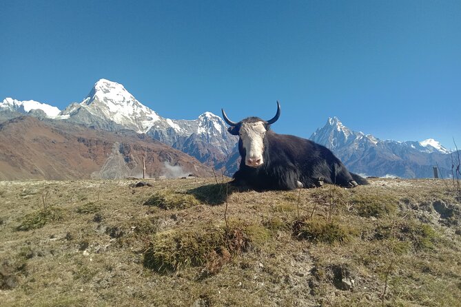 Annapurna View Trek - Day 5: Pokhara to Kathmandu, the trip’s finish line