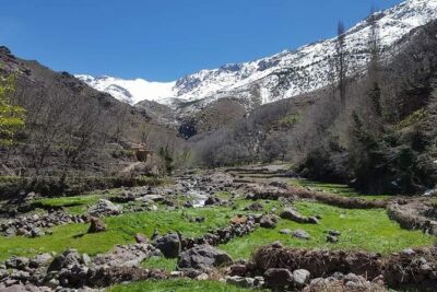 Atlas Mountains Day Trek - Imlil at 1,750 meters: village life, mint tea, and a real lunch