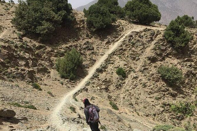 Atlas Mountains, Two Valleys & Berber villages 2 days trek - High Atlas reality check: what your 2 days feel like