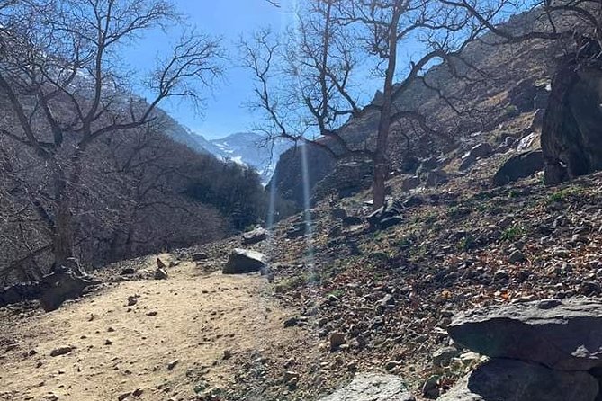 Atlas Mountains, Waterfalls Day Hike & Trek From Marrakech - Price and value: what you get for about $23.23