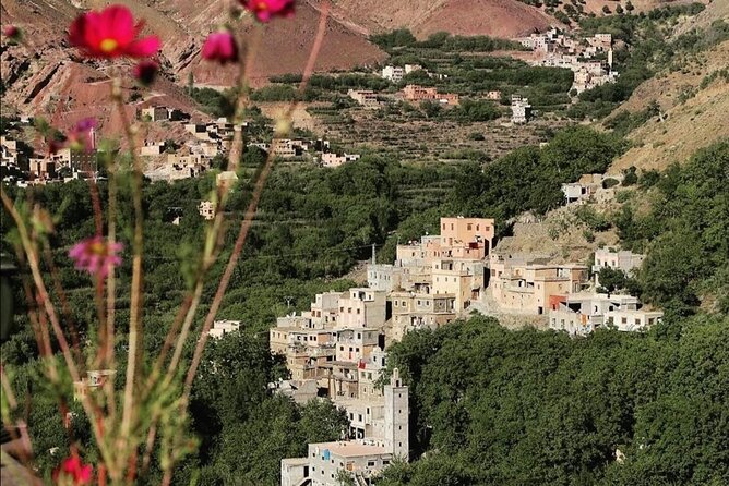 Atlas Mountains, Waterfalls Day Hike & Trek From Marrakech - Timing and logistics that keep the day enjoyable