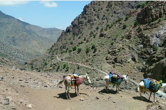 Atlas Valleys & Mount Toubkal Private 3 Days Trek From Marrakech - Day 3: Very Early Summit Climb to Mount Toubkal (4167m) and the Long Descent