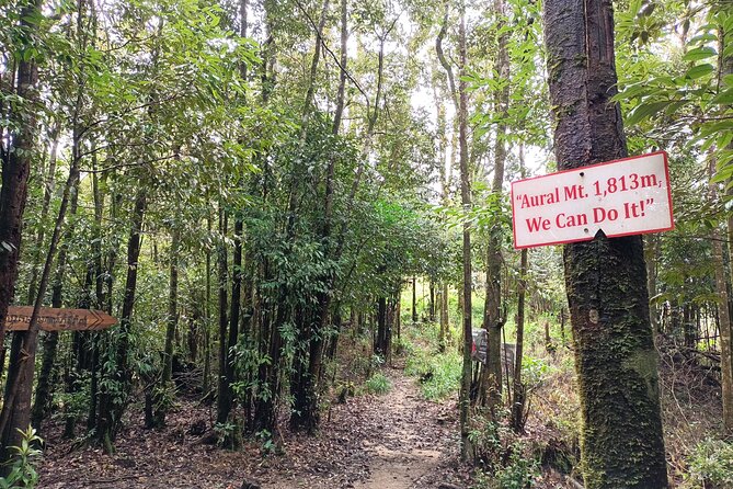 Aural Mountain Trek: Cambodia Tallest Peak Challenge - Accommodation and food: tent or hammock, cooked meals, and the humidity reality