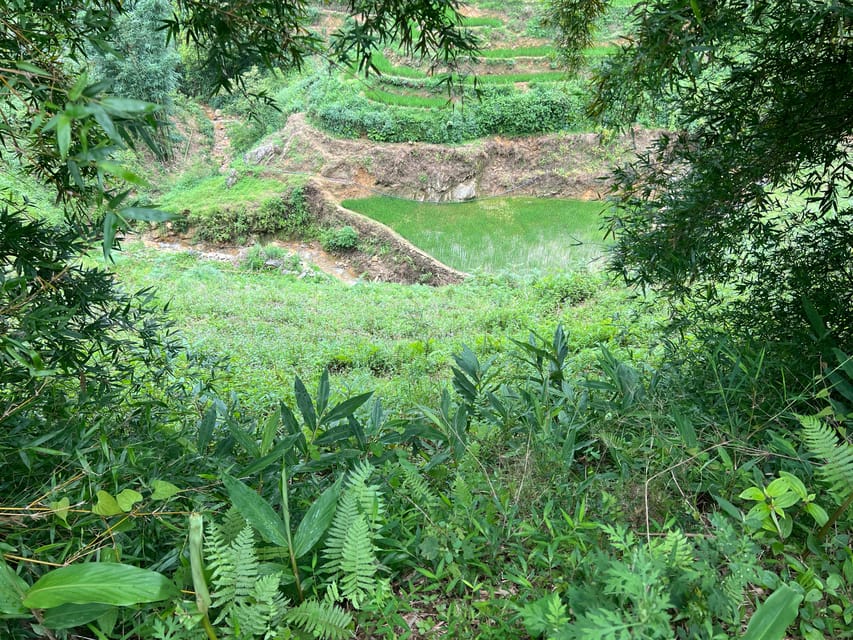 Authentic Sapa 2D1N Trek & Hmong Homestay with Dinh - Meals, water, and what’s actually included