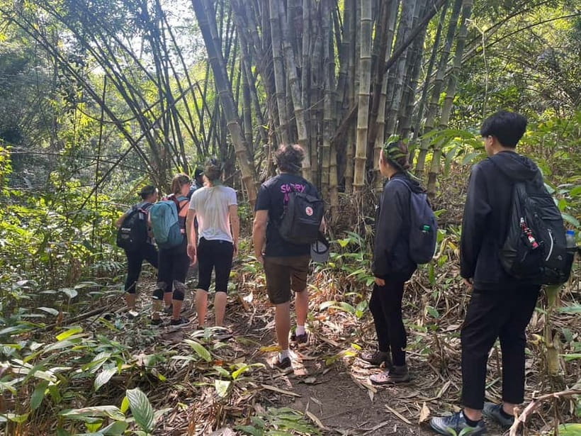 Authentic trek only walk in Chiang Rai jungle - Key Things You’ll Like About the Only Walk Trek