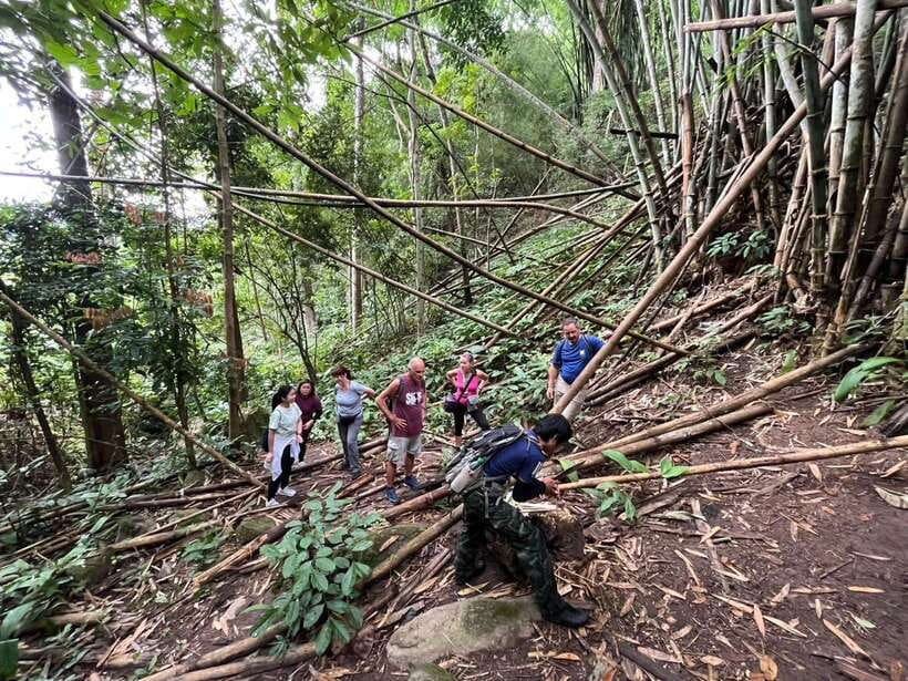 Authentic trek only walk in Chiang Rai jungle - The Waterfall Part: Where the Day Clicks